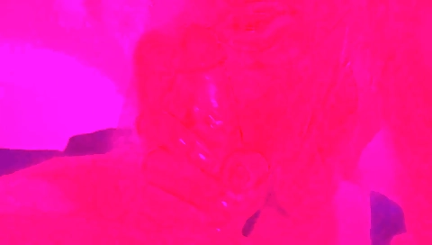 Mature and i'd like to be create with my dick